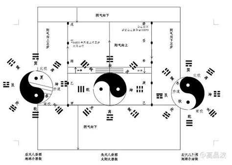 履卦 貓死掉如何處理